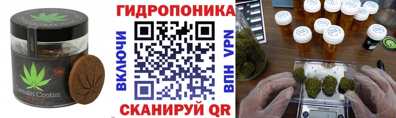 купить наркотик  Катайск  Еда ТГК марихуана 