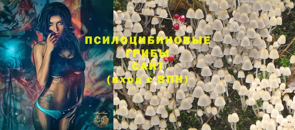 соль ск Абаза