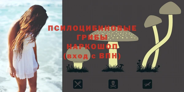 гидропоника Абдулино