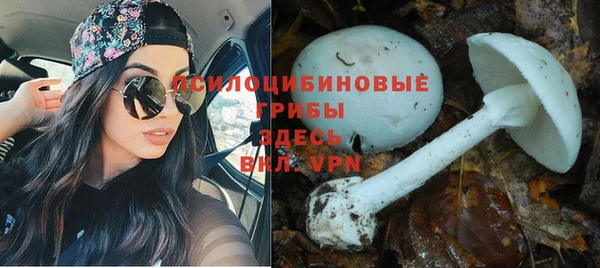 МДПВ Саяногорск